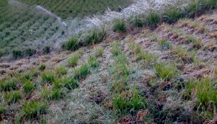 Norte de Santander se enfrenta a fuertes cambios climáticos./Foto: cortesía