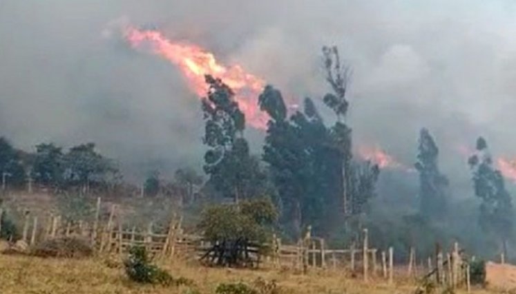En Norte de Santander ya se han presentado incendios forestales. / Foto: Cortesía