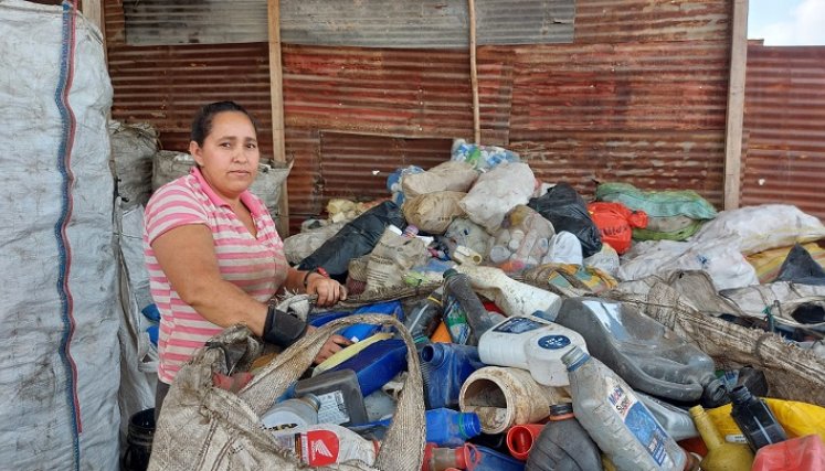 Además de cuidar el medio ambiente se constituye en fuente de empleo.