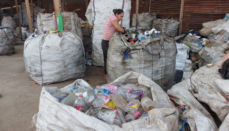 En la recicladora El Molino se generan 15 empleos directos.