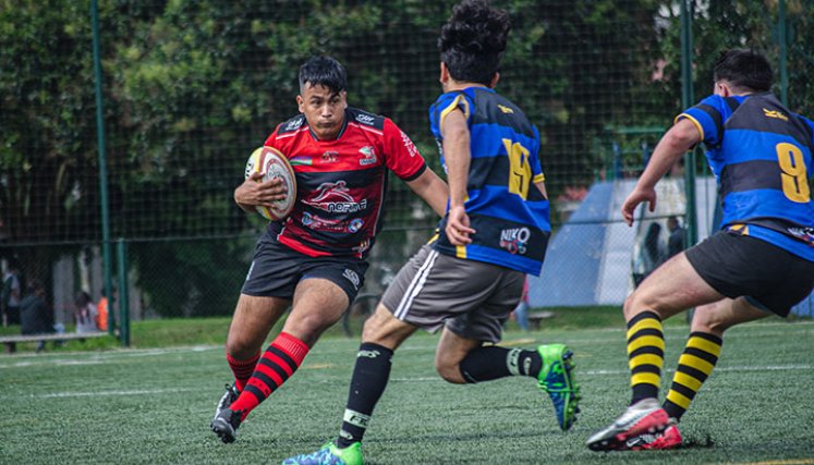 Rugby de Norte de Santander. Foto: Cortesía Liga de Nortesantandereana de Rugby.