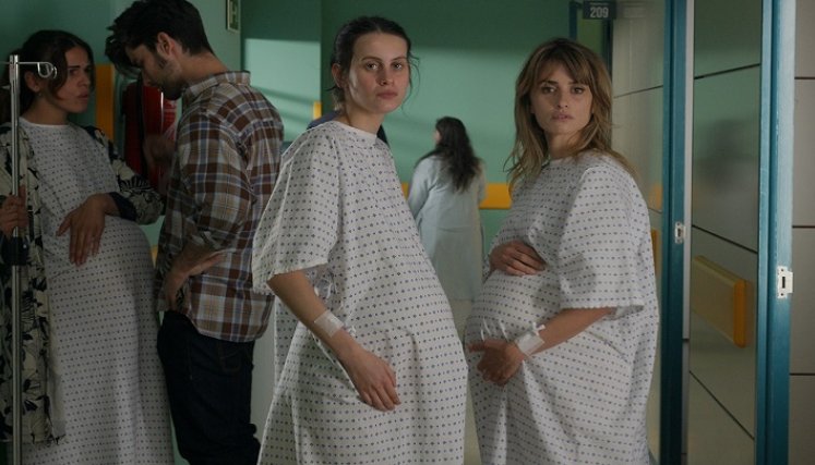 Películas recomendadas en Netflix para febrero./Foto: Colprensa