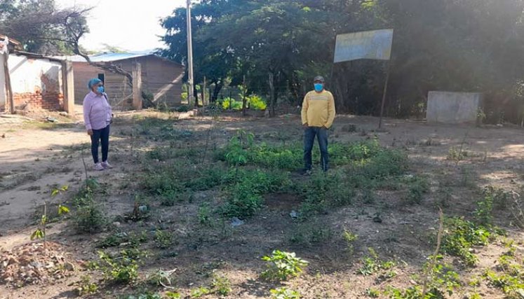 Este es el predio de Lino Rincón en el corregimiento de San Pedro./Foto orlando carvajal
