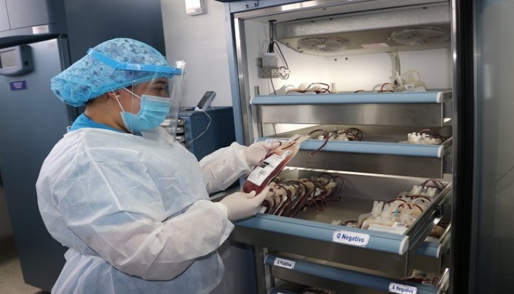Temores infundados sobre los riesgos de donar sangre durante la pandemia.