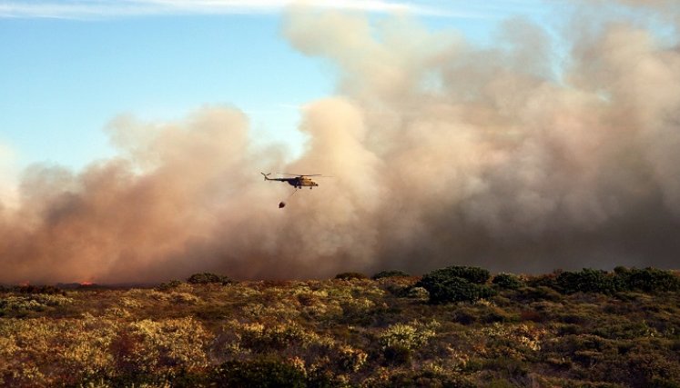Incendios forestales