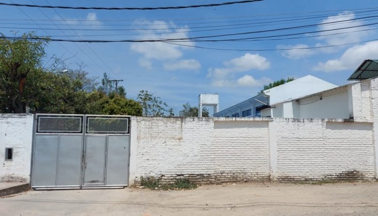 Una gran polémica se ha suscitado en torno a la suspensión temporal del sacrificio de cerdos en la Plata de Beneficio Animal de Ocaña.