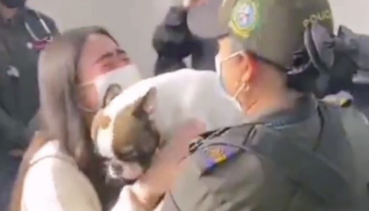 Así fue el conmovedor reencuentro entre perrita bulldog secuestrada y su dueña/La Opinión