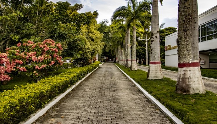 En camino está despejado para el retorno a las aulas de clases.