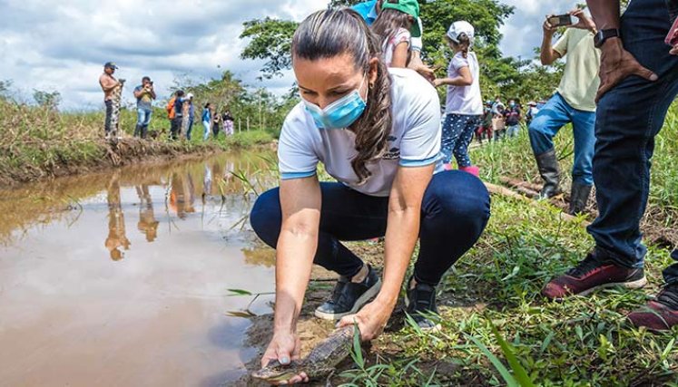 Humedal Los CÁmbuos en el corregimiento de PALMARITO./Foto cortesía