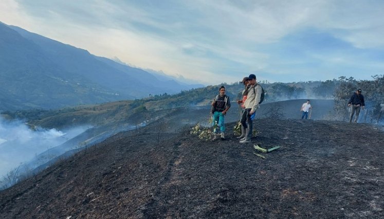 Alerta ante posibilidad de nuevos incendios forestales en el país./Foto: Archivo - La Opinión