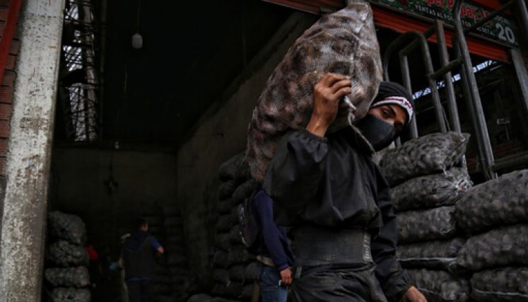 El agro colombiano depende de fertilizantes que cuentan con componentes que vienen de Rusia. / Foto: Colpensa