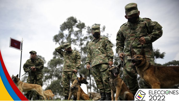 Así entrena el Ejército perros antiexplosivos para las elecciones./Foto: Colprensa