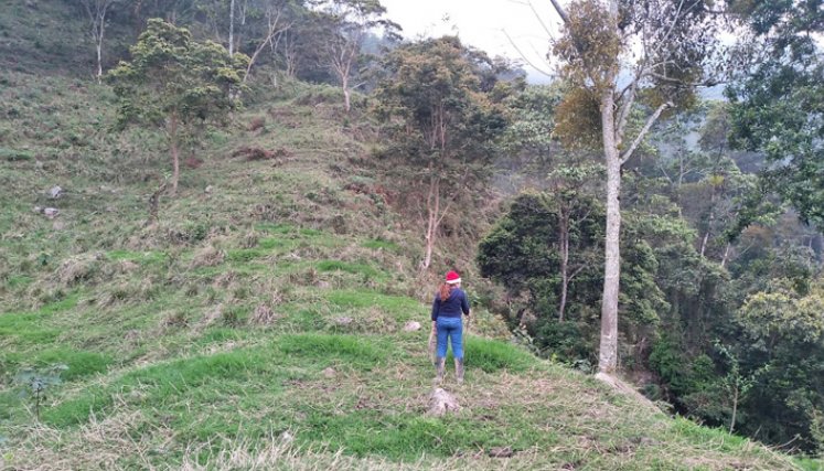 El proyecto agropecuario contará con seis vacas para iniciar un proyecto de ganadería de doble propósito; de levante y ceba.