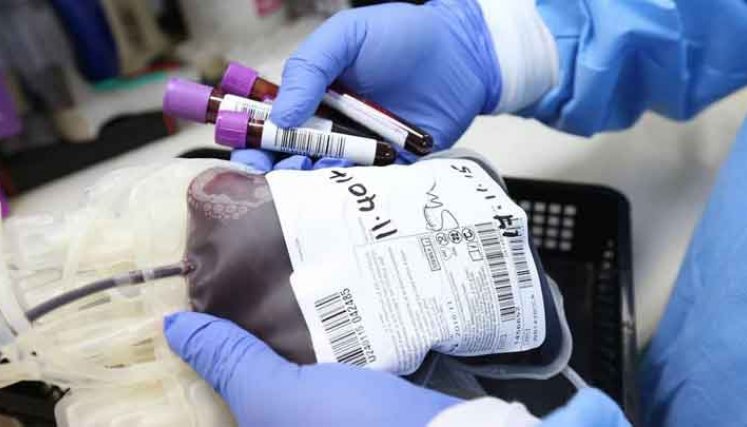  El informe no especifica cómo se dio la pérdida de las unidades de glóbulos rojos. / Foto: Colprensa