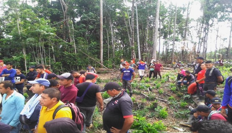 os labriegos de la zona del Catatumbo en máxima alerta por la erradicación de los cultivos ilícitos. Reclaman una verdadera Reforma Agraria Integral. / Foto: Cortesía / La Opinión 