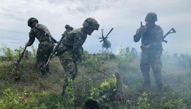 Las fuerzas militares continúan con la lucha frontal contra el narcotráfico.