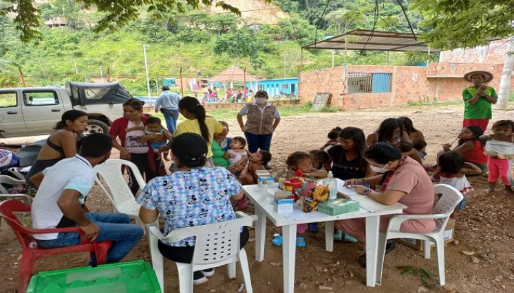 En la zona del Catatumbo se adelanta un plan piloto para combatir el mal de Chagas. La región es endémica y se adoptan estrategias para evitar afectaciones a los niños y mujeres en edad fértil.
