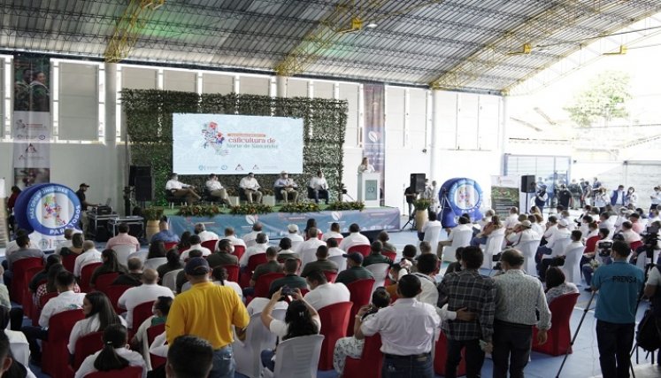 Convenio para renovar café en Norte de Santander