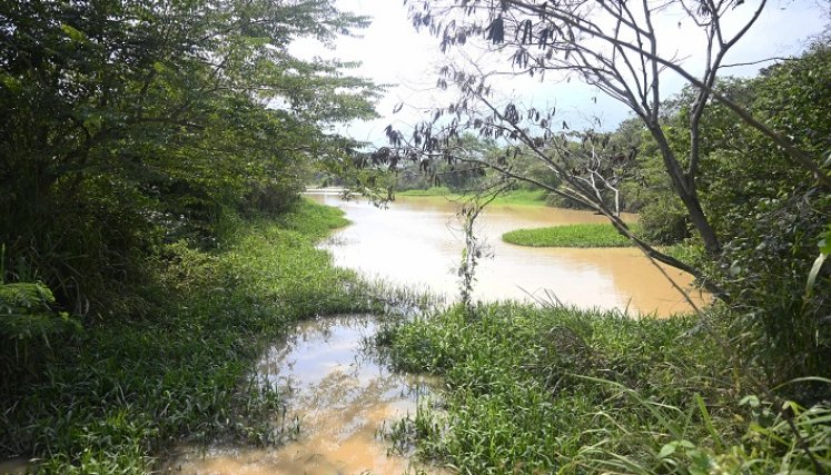 Vecinos de Los Patios ejecutarán acción de tutela por inundaciones causadas por obra de Sacyr.