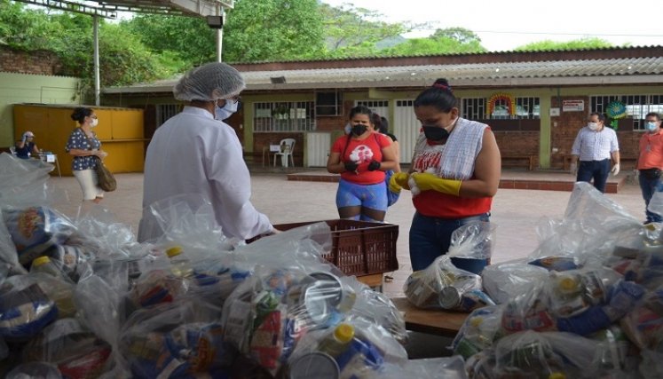 Juez municipal favorece tutela que ordena la implementación del PAE
