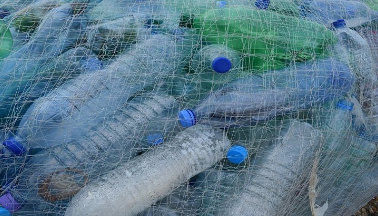 Plástico