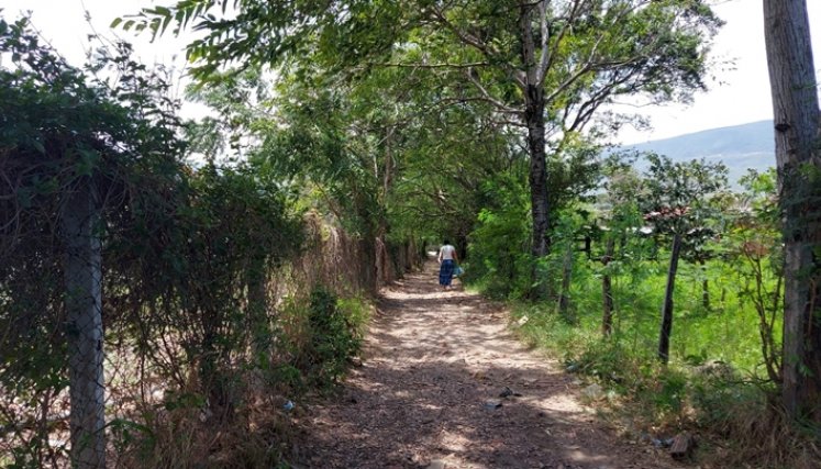 En la salida de la trocha La Ramona han asesinado a varias personas.