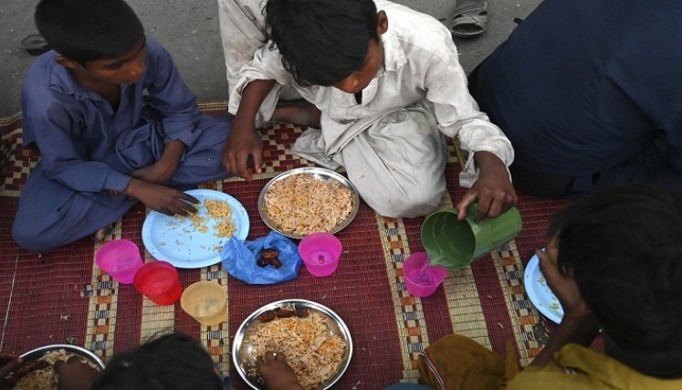alimentos 