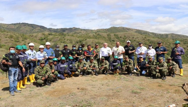 Las entidades ambientales emprenden brigada de reforestación en el municipio de Ocaña. 
