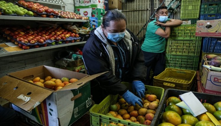 alimentos