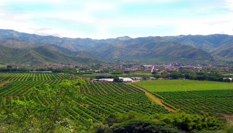 campo - fertilizante 