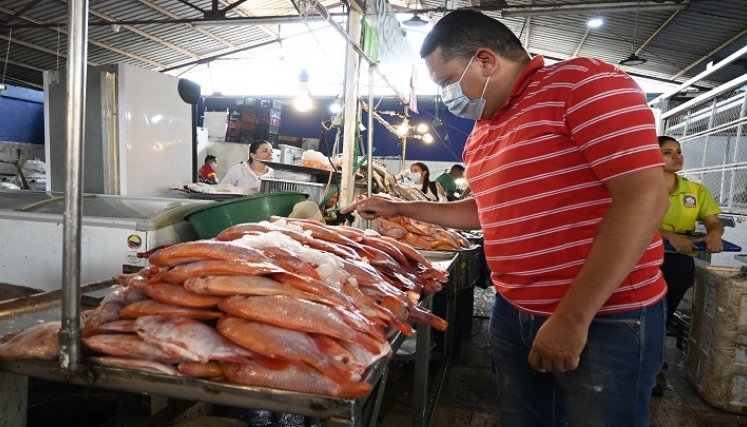 El precio del pescado, aunque tiende al alza, se mantiene económico. La cachama es el más económico, el kilo está a $8.000.  / Foto: Jorge Rodríguez/La Opinión