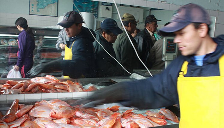 Venta de pescado.