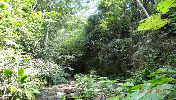 Integrantes de la Asociación de Amigos del Acueducto Independiente de la Ciudadela Norte de Ocaña, ADAMIUAIN, promueven un modelo comunitario para la recuperación de las fuentes hídricas de la zona del Catatumbo.