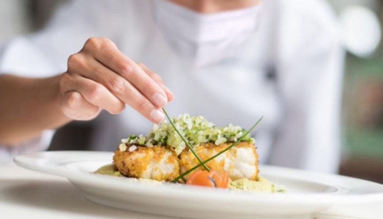 Comida Gourmet