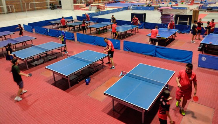 Liga de Tenis de Mesa de Norte de Santander. 