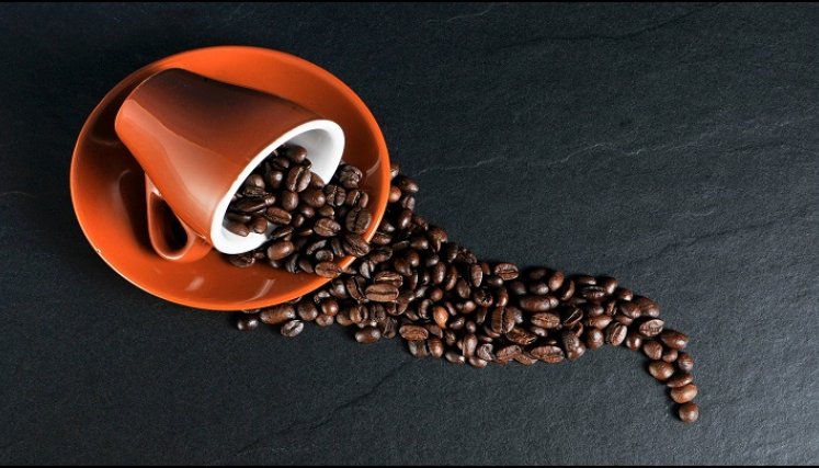 Café. / Foto: Cortesía