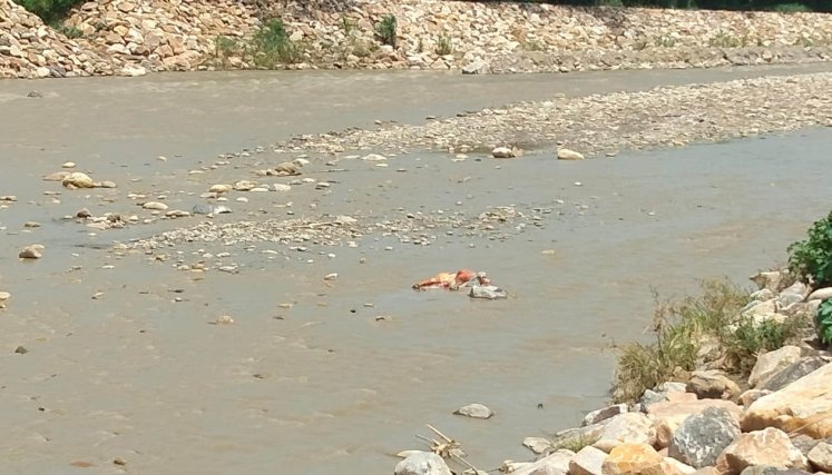 Río Pamplonita