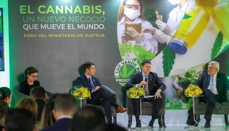 Industria de cannabis medicinal se fortalece en el país