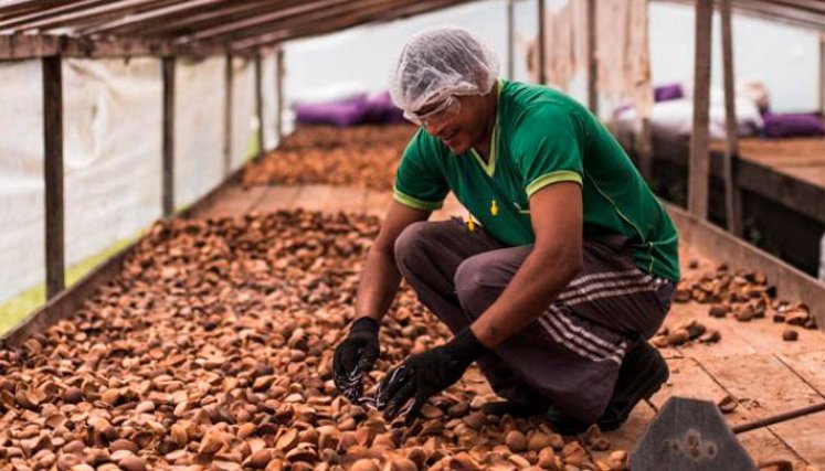 Natura lanza su IP&L