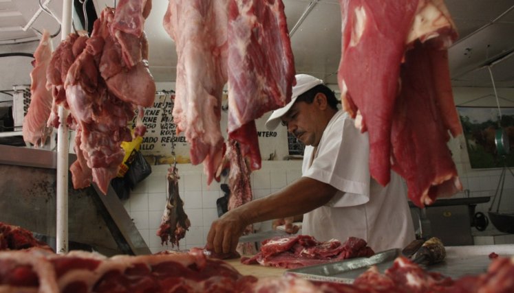 carne