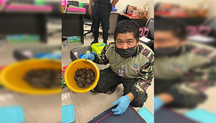 Detenidas dos mujeres en Tailandia con más de 100 animales vivos./Foto: AFP
