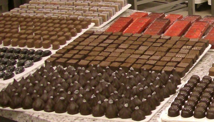 Detectan salmonela en fábrica de chocolate./Foto: internet