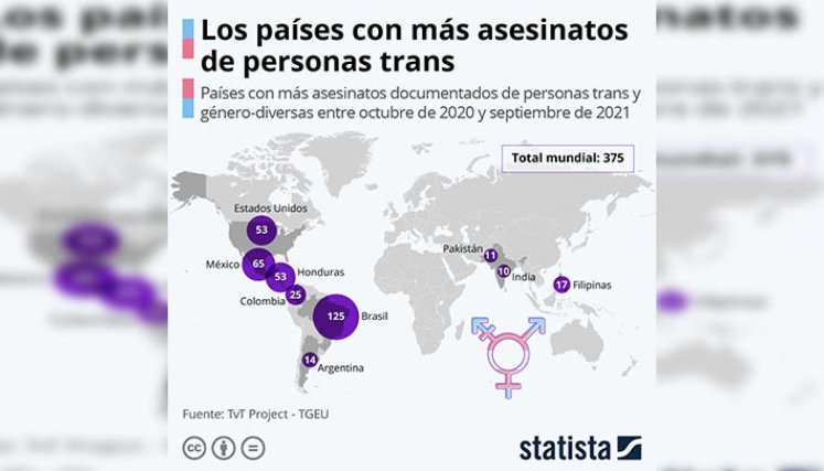 Gráfico de homicidios de mujeres trans en el mundo./Foto: internet