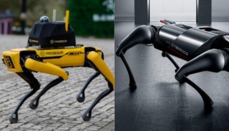 Perros robots.
