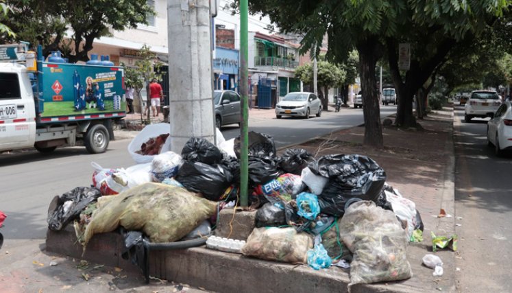 No caiga en multas: lo que debe saber sobre las basuras que no se recogen