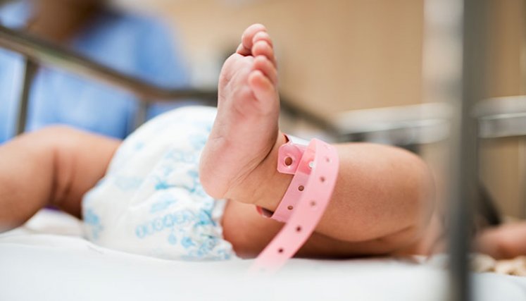 ¿Qué pasa si se come la placenta después del parto?