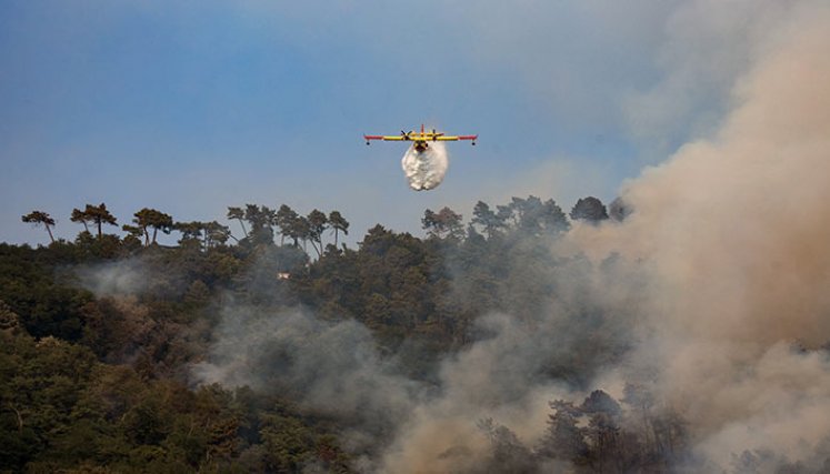 La superficie quemada por los incendios forestales en la UE superó a la de 2021./Foto: AFP