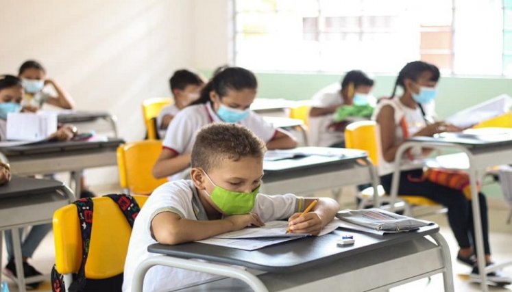 Estudiantes matriculados. 