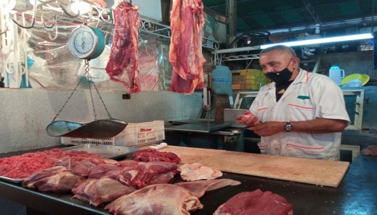 Asociación de Ganaderos del Táchira alerta por baja del precio de la carne a puerta de corral. Fotos Anggy Polanco / La Opinión.