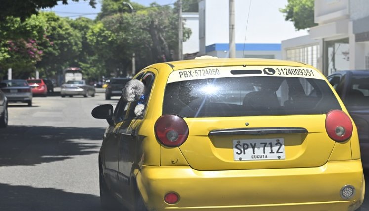 Conductores de la ciudad apoyan la creación de este acuerdo, señalando que los animales también son parte de la familia y merecen un trato digno. / Foto: Jorge Gutiérrez / La Opinión 